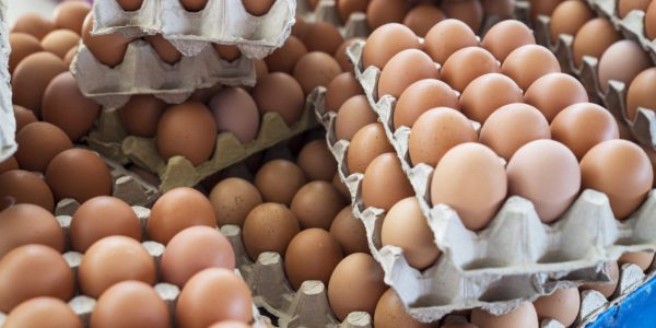 Buy EGG online