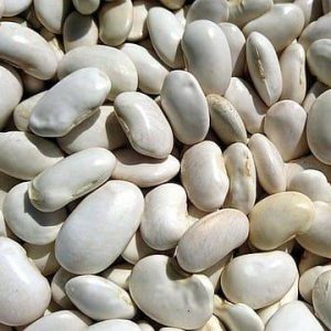 WHITE BEANS