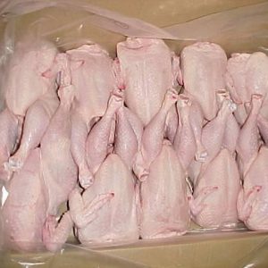 FROZEN CHICKEN