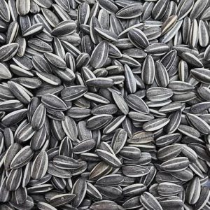 SUNFLOWER SEEDS