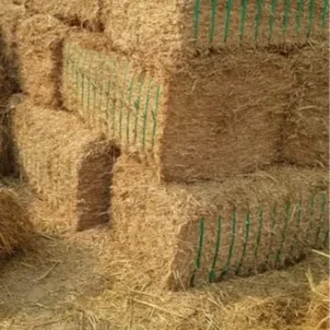 WHEAT STRAW